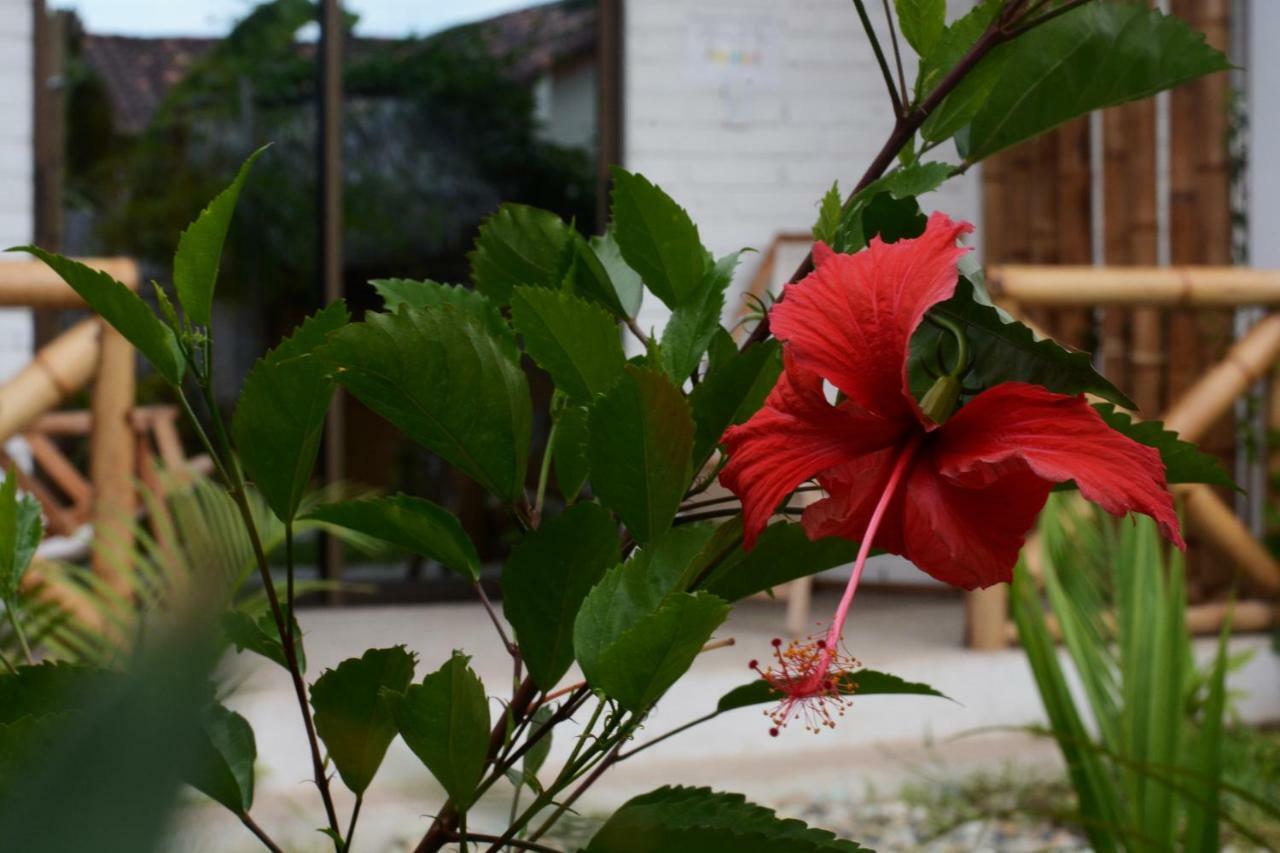 Casita Madame Hotel Puerto López Buitenkant foto